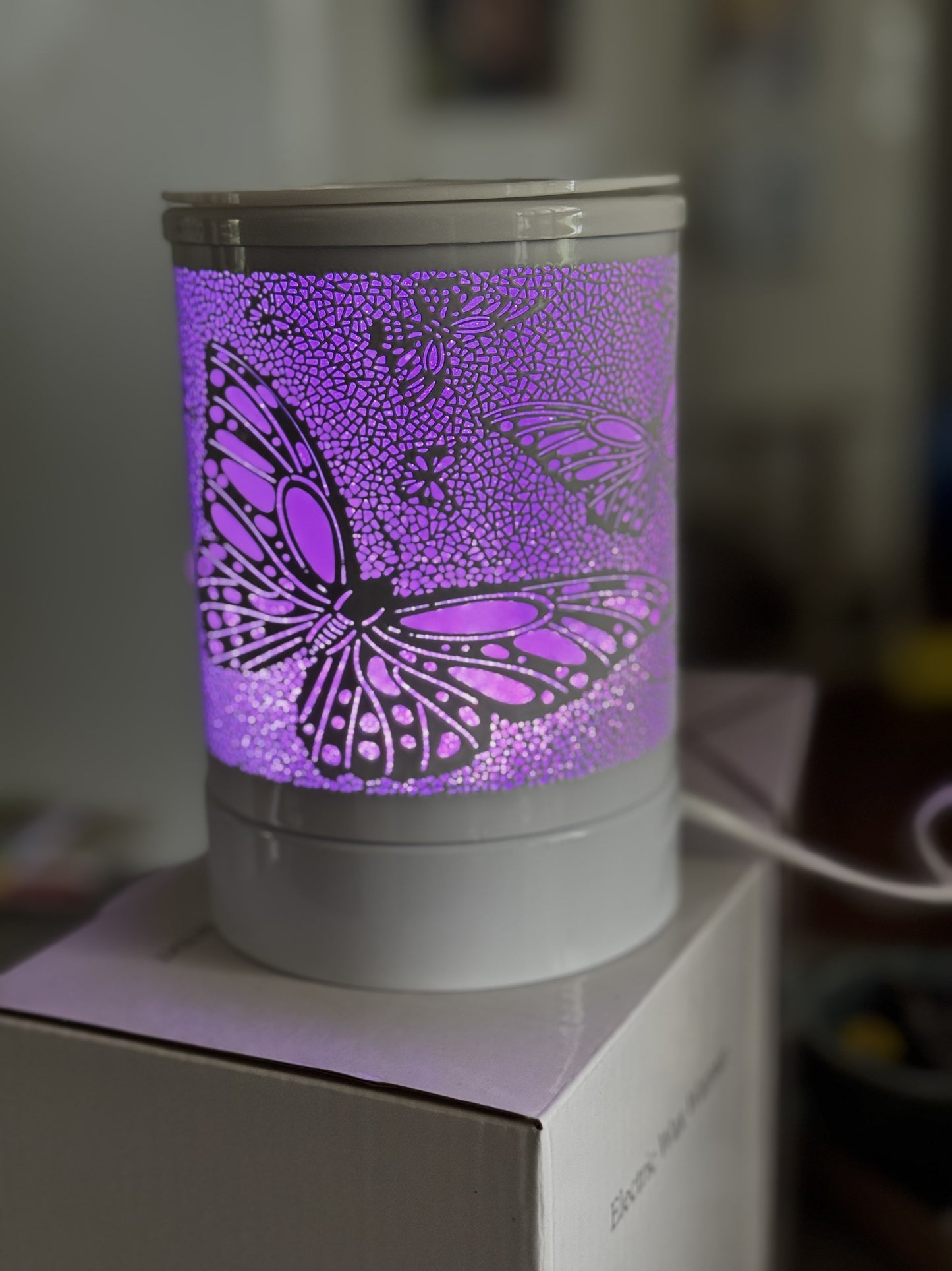 Electric Melt Warmers